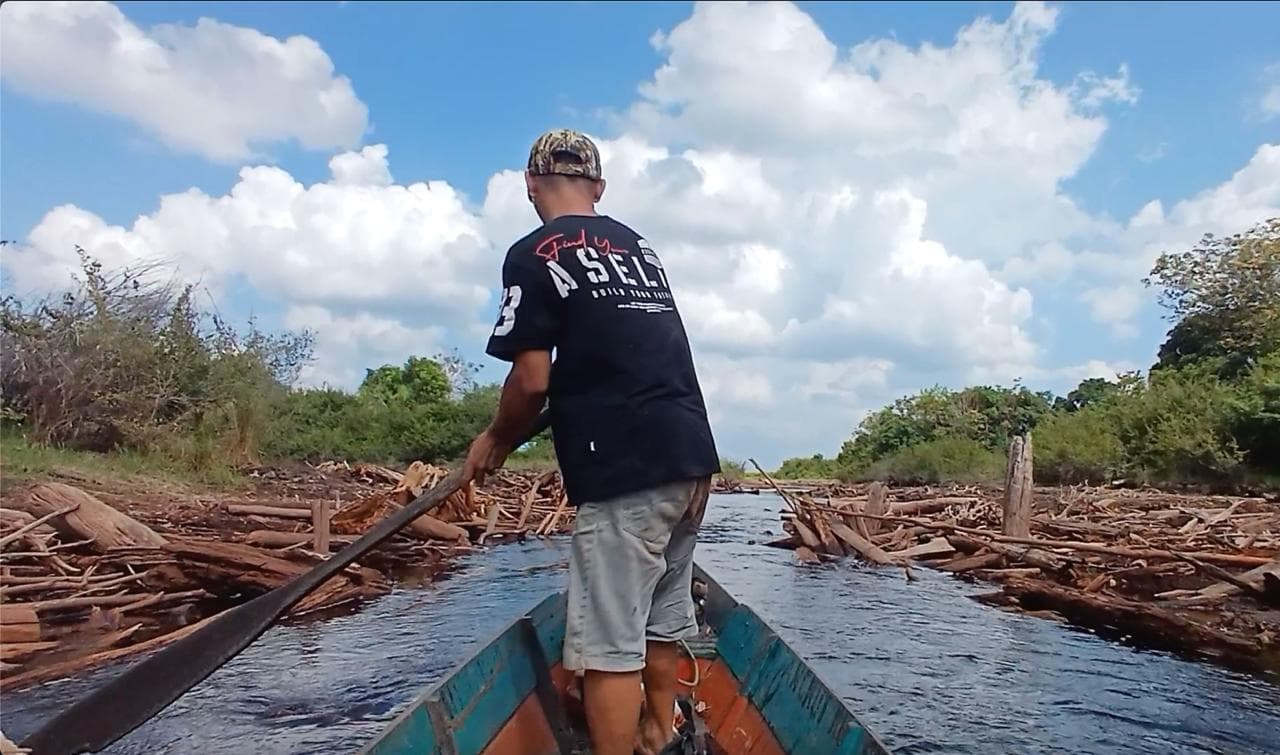 Menjaga Hutan, Merawat Kehidupan: Pentingnya Pembiayaan Independen untuk Pemantauan Hutan di Indonesia
